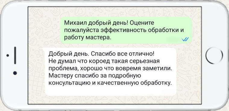 уничтожение вредных насекомых - фото №28