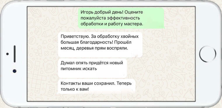 служба по борьбе с борщевиком - фото №1