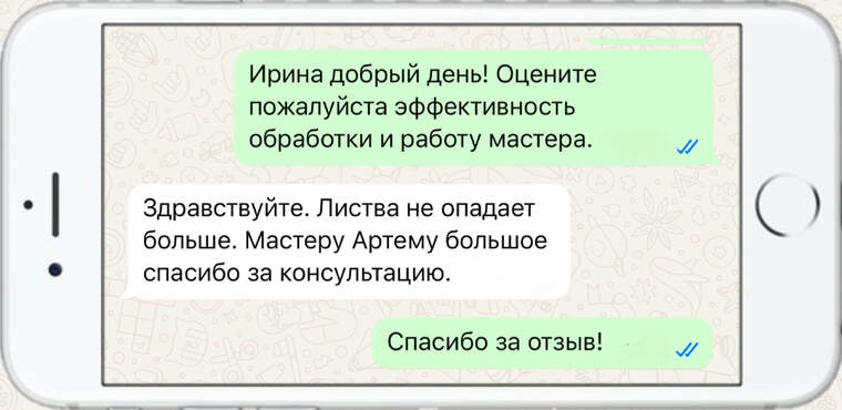 служба по борьбе с борщевиком - фото №10