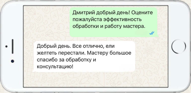 служба по борьбе с борщевиком - фото №11