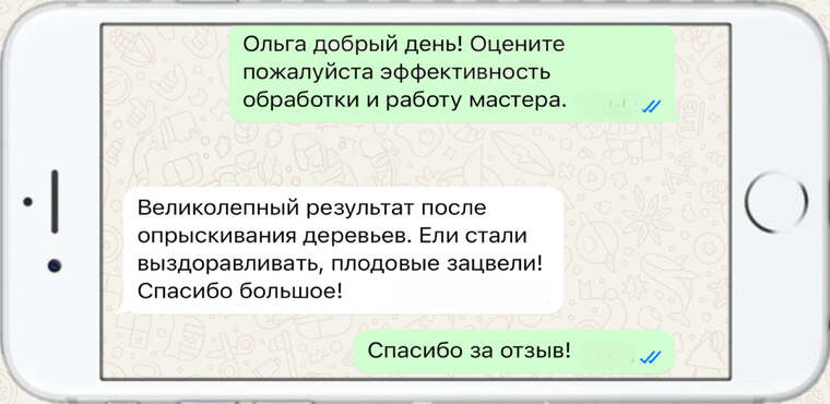 служба по борьбе с борщевиком - фото №13
