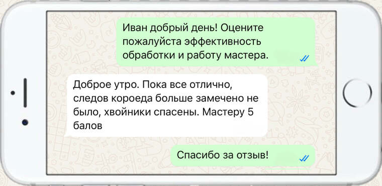 служба по борьбе с борщевиком - фото №14