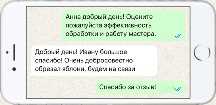служба по борьбе с борщевиком - фото №15