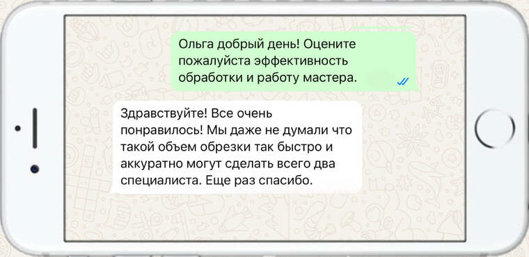 служба по борьбе с борщевиком - фото №17