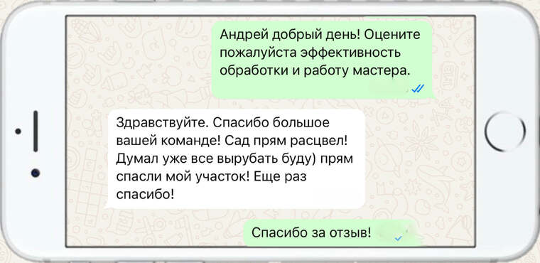 служба по борьбе с борщевиком - фото №23
