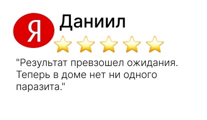 служба по борьбе с борщевиком - фото №13
